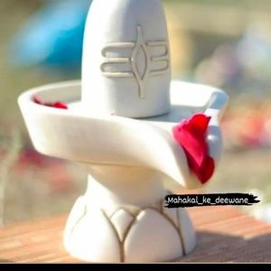 Meet your Posher, Mayank